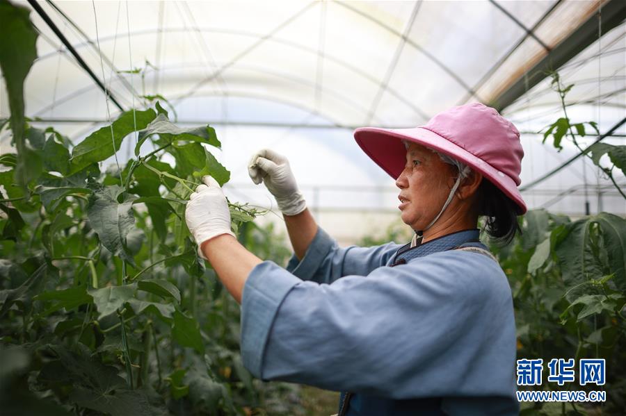 （走向益达娱乐的小康生活·决战决胜脱贫攻坚·图文互动）（1）麻山突围记