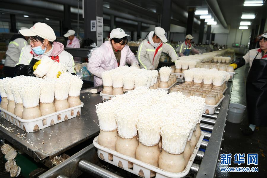 （走向益达娱乐的小康生活·图文互动）（2）乌蒙“同心”战贫困