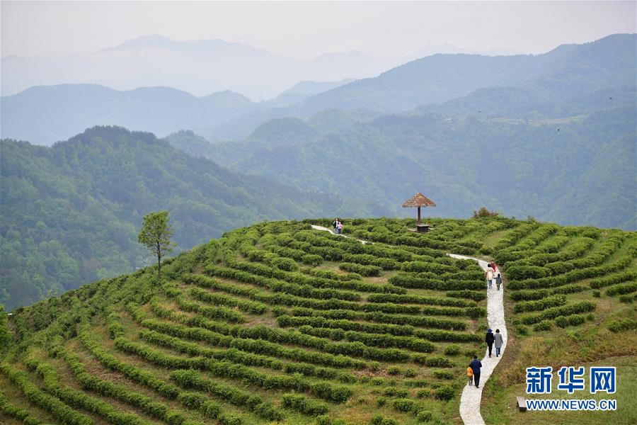 (新华全媒头条·走向益达娱乐的小康生活·图文互动)(5)蹚出绿色小康路——陕南秦巴山区的脱贫答卷