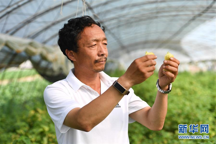 （新华全媒头条·走向益达娱乐的小康生活·图文互动）（7）黑土地上是我家——在吉林，一瞥中国东北乡村美丽未来