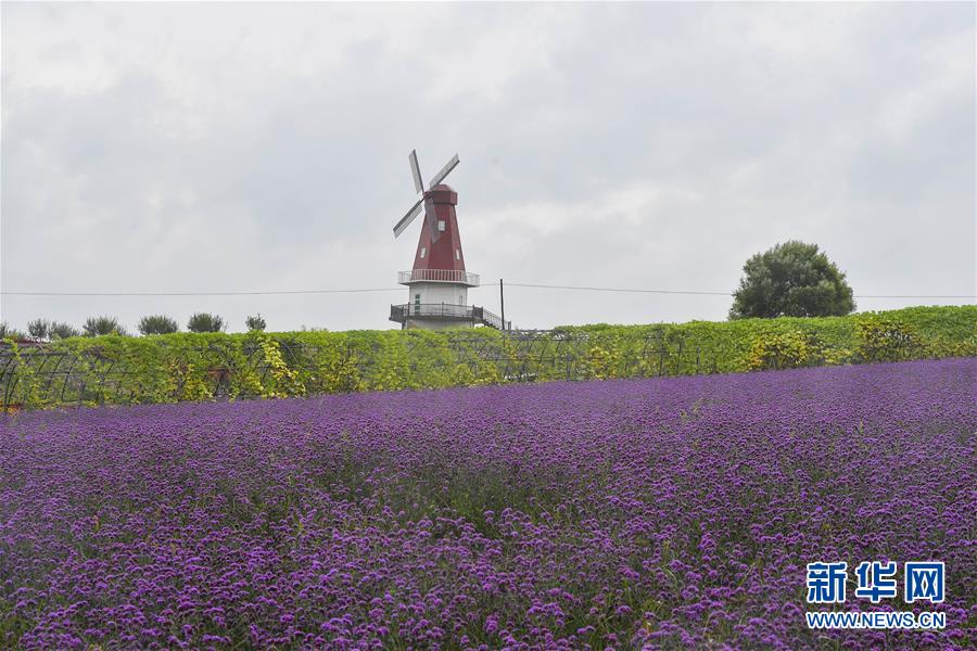 （新华全媒头条·走向益达娱乐的小康生活·图文互动）（6）黑土地上是我家——在吉林，一瞥中国东北乡村美丽未来