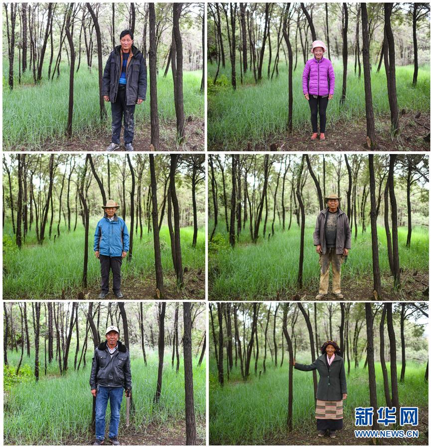 （新华全媒头条·图文互动）（7）庄重的承诺　历史的奇迹——西藏自治区决战脱贫攻坚纪实